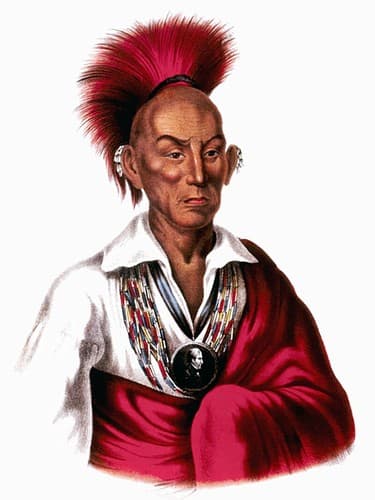 Photo of Black Hawk
