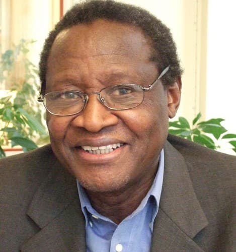 Photo of P. Thandika Mkandawire