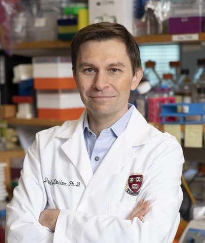Photo of David Sinclair