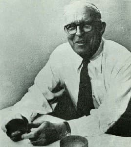 Photo of John Eric Sidney Thompson