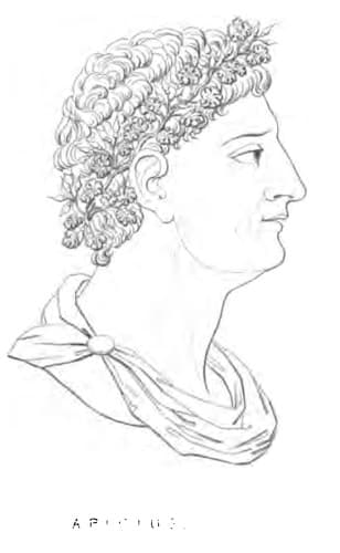 Photo of Apicius