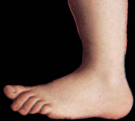 Photo of Monty Python