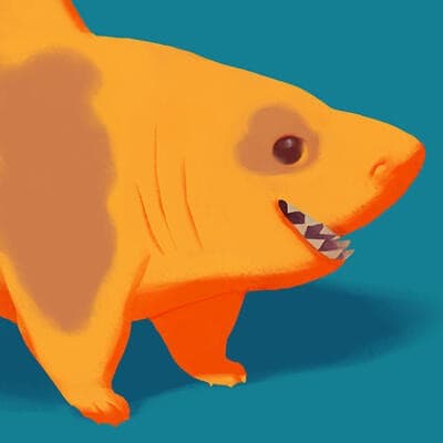 Photo of chubby-shark