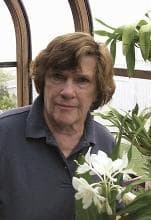 Photo of Deborah Peterson