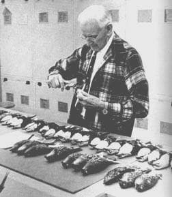 Photo of Alexander Wetmore