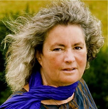 Photo of Starhawk