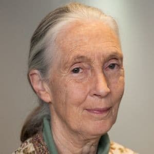Photo of Jane Goodall