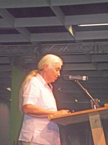 Photo of Frigga Haug