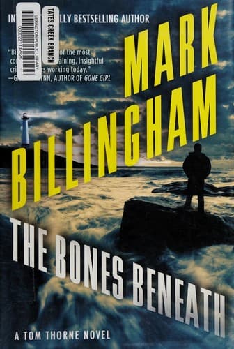 Cover image for The bones beneath
