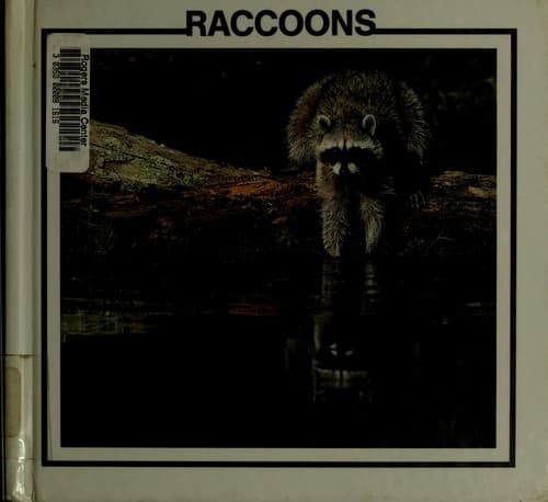 Cover image for Raccoons