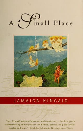 Cover image for A small place