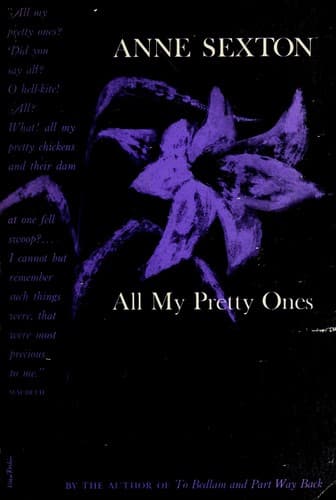 Cover image for All My Pretty Ones