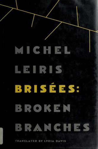 Cover image for Brisées =