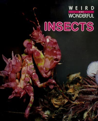 Cover image for Insects (Weird and Wonderful)