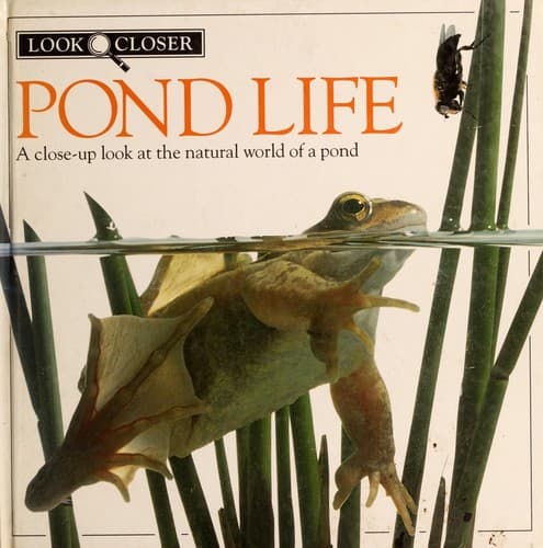 Cover image for Pond life