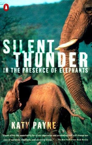 Cover image for Silent Thunder