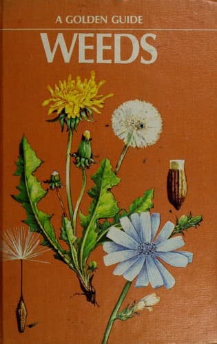Cover image for Weeds