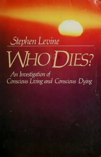 Cover image for WHO DIES