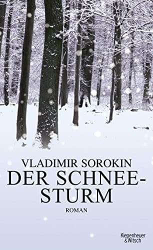 Cover image for Der Schneesturm