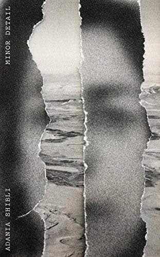 Cover image for Minor Detail