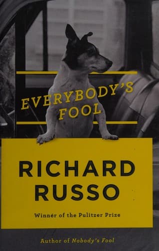 Cover image for Everybody's fool