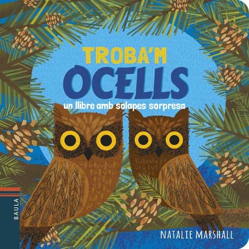 Cover image for Troba'm ocells