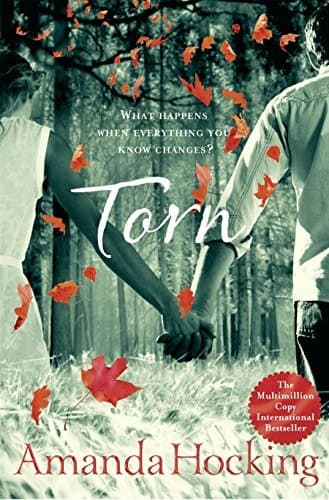 Cover image for Torn
