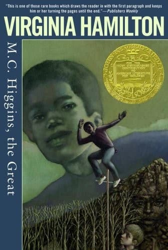 Cover image for M.C. Higgins, the great