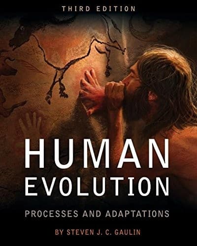Cover image for Human Evolution