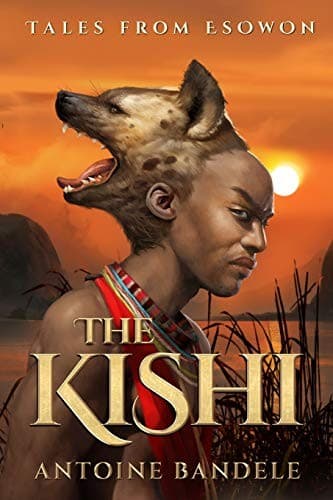Cover image for The Kishi