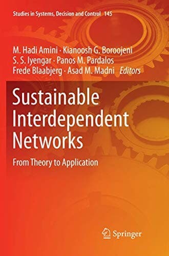 Cover image for Sustainable Interdependent Networks