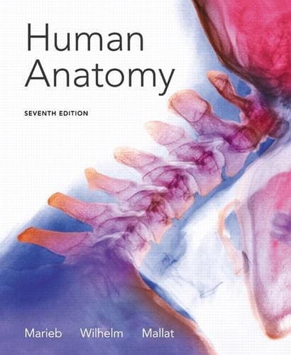 Cover image for Human Anatomy
