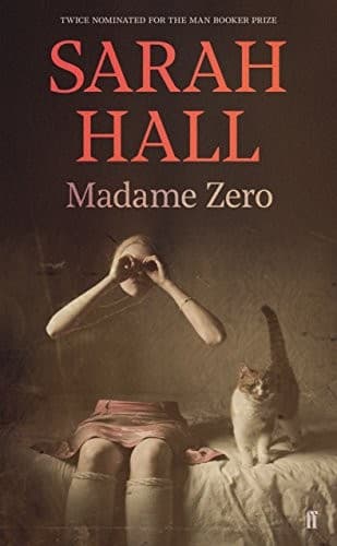 Cover image for Madame Zero