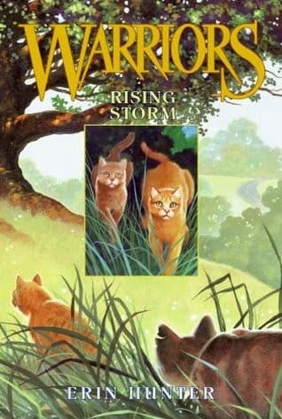 Cover image for Rising storm