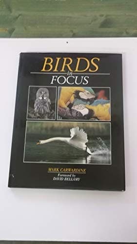 Cover image for Birds in focus