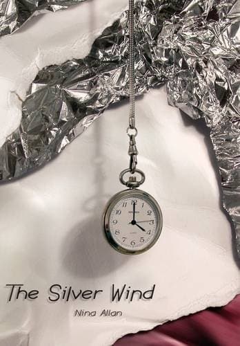 Cover image for The Silver Wind
