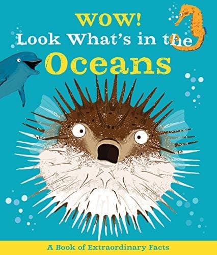 Cover image for Wow! Look What's In The Oceans