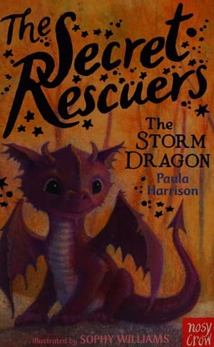 Cover image for The storm dragon