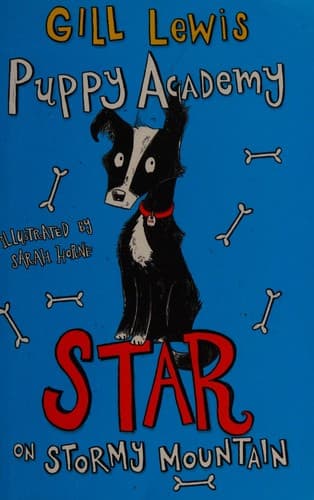 Cover image for Star on stormy mountain