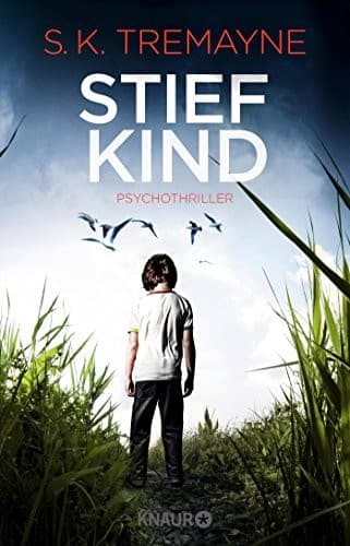 Cover image for Stiefkind