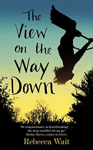Cover image for The View on the Way Down