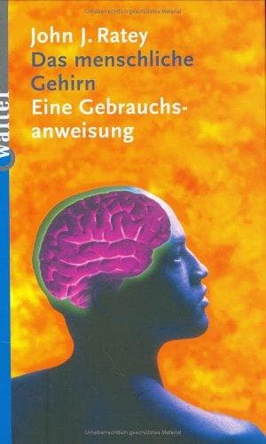 Cover image for Das menschliche Gehirn. Eine Gebrauchsanweisung.