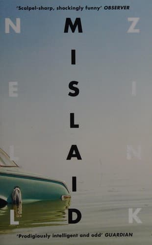 Cover image for Mislaid