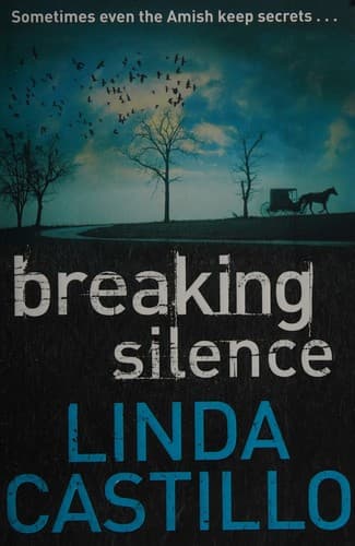 Cover image for Breaking silence