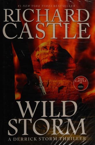 Cover image for Wild storm