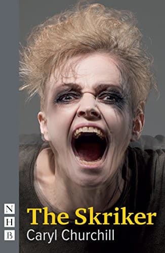 Cover image for The skriker