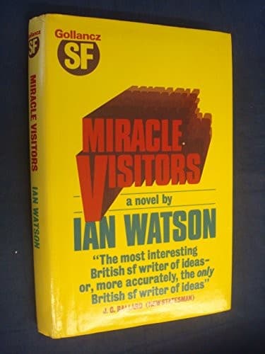 Cover image for Miracle visitors