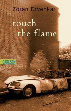 Cover image for touch the flame