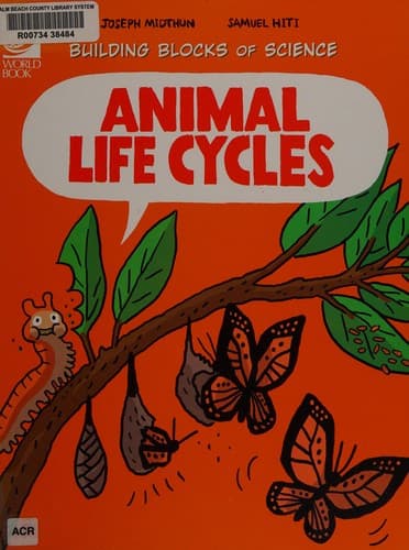 Cover image for Animal life cycles