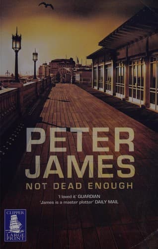 Cover image for Not dead enough